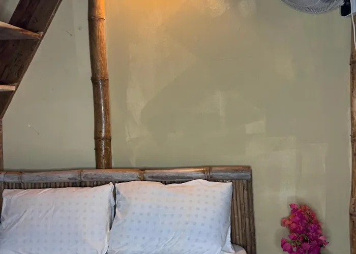 Tyler's Place 3* Coco