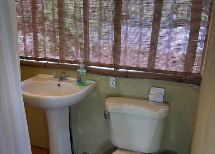 Tyler's Place