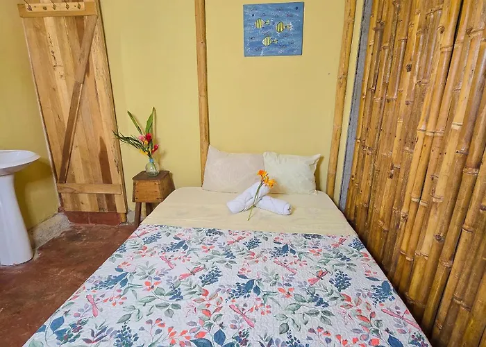 Tyler's Place 3* Coco